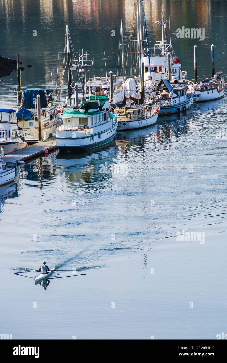 La Conner, Washington, 25 de octubre de 2008. Un hombre remando una sola concha de carreras de gaviota con remos en movimiento. Atracó barcos amarrados en el fondo. Foto de stock