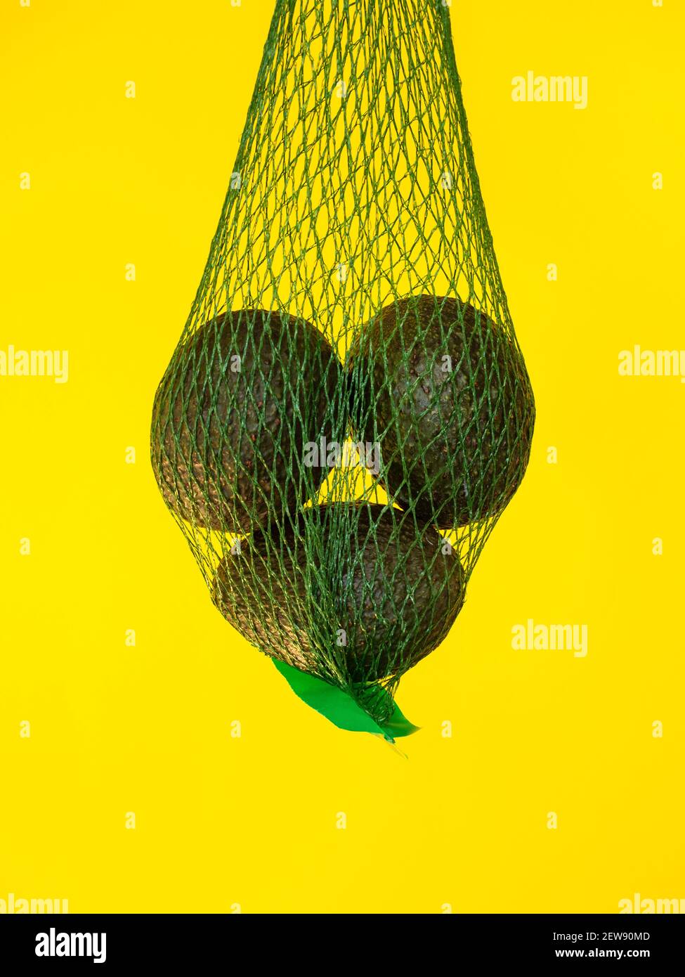 Aguacates en una red verde aislada y suspendida en el aire con un fondo amarillo en el estudio Foto de stock