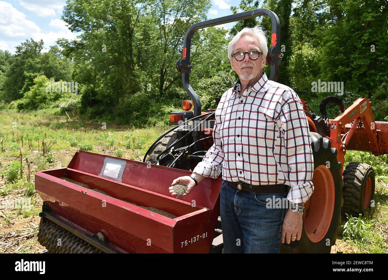 Geoff Whaling, presidente del Pennsylvania Hemp Industry Council, tiene semillas de cáñamo antes de plantar en la propiedad de la Universidad de Lehigh en Upper Saucon Townsip en junio. (April Gamiz/Allentown Morning Call/TNS) Foto de stock