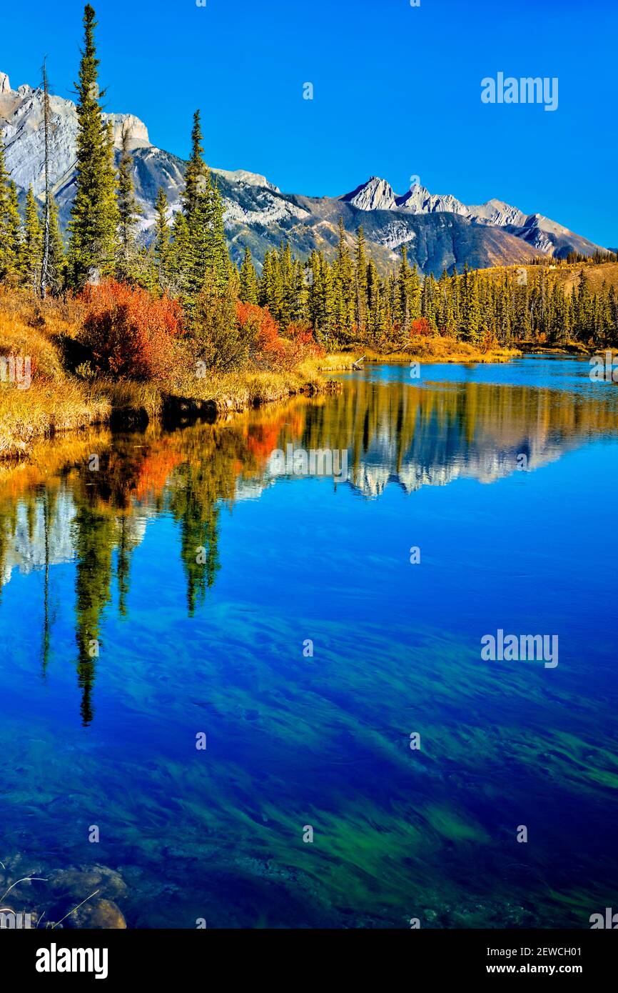 Una imagen de naturaleza vertical con impresionantes colores de otoño  alrededor de un estanque de aguas tranquilas con un fondo de montaña en  Jasper Parque Nacional en Alberta, Canadá Fotografía de stock -