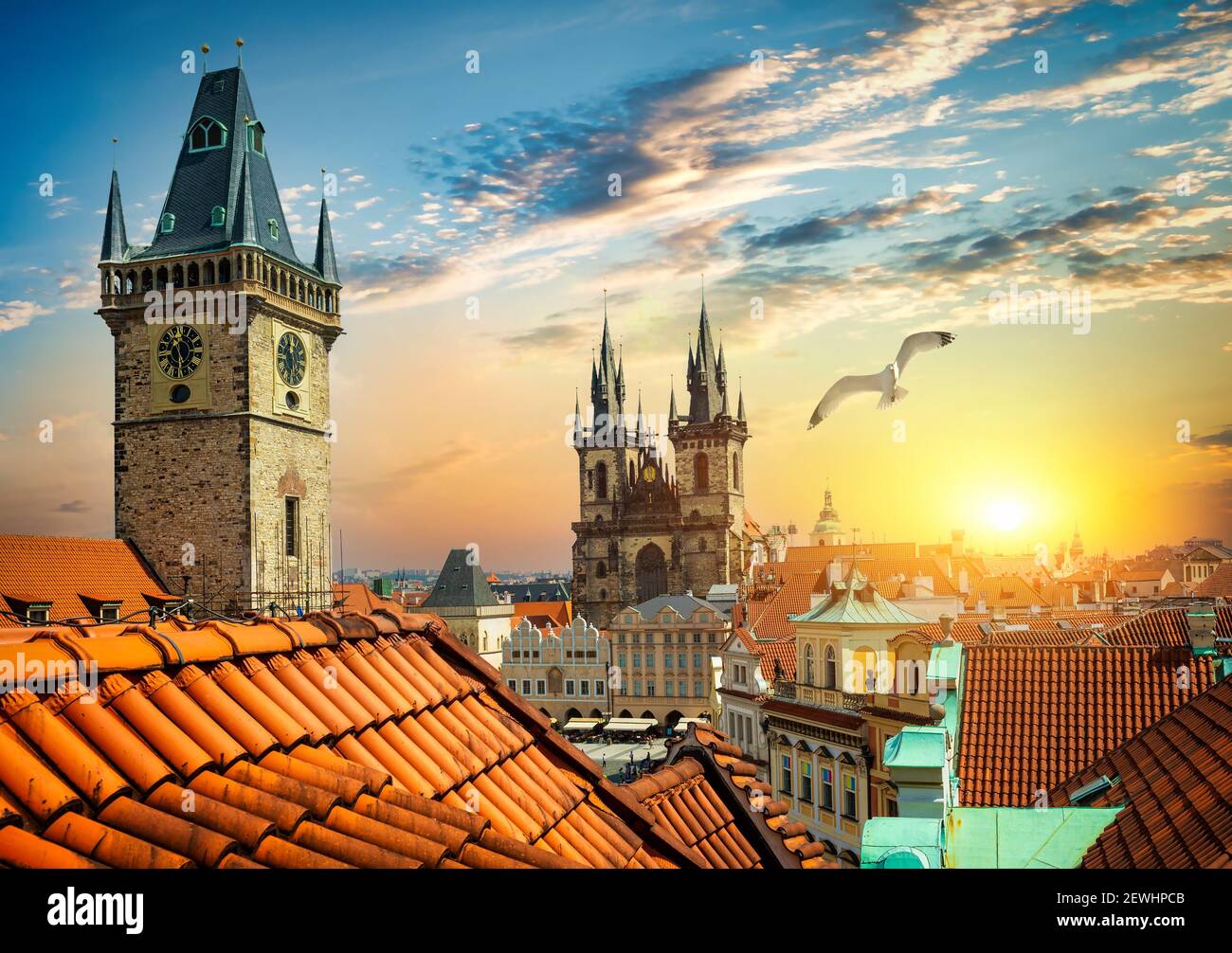 Gull sobre las campanas de Praga y la catedral de Tynsky. Foto de stock