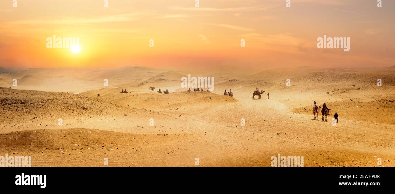 Ver en el desierto, con montañas a surise, Egipto. Foto de stock