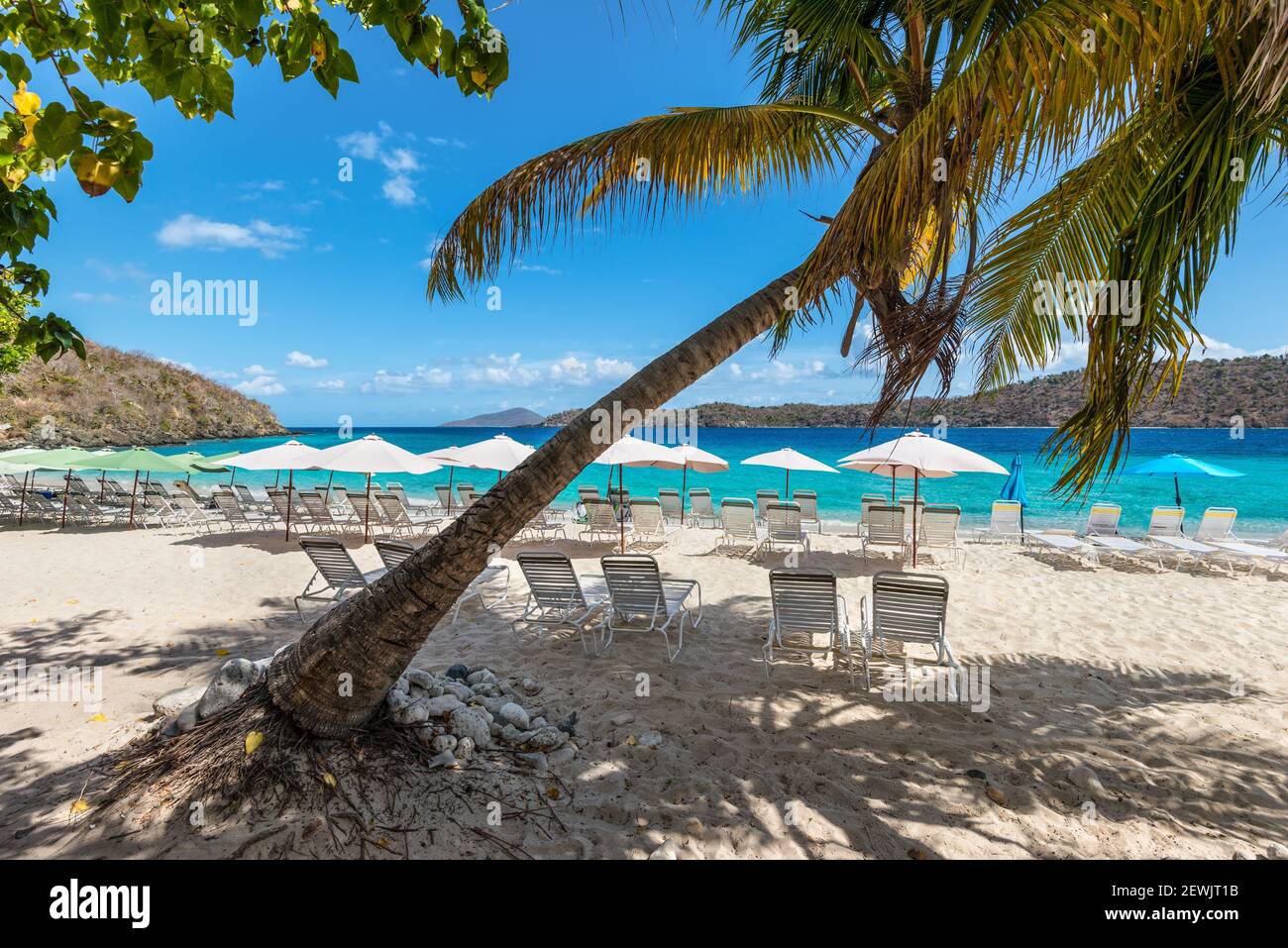 Tumbonas para grupos para relajarse y tomar el sol bajo sombrillas y palmeras en una playa de arena del mar caribe. Concepto de viaje de vacaciones de verano. Foto de stock