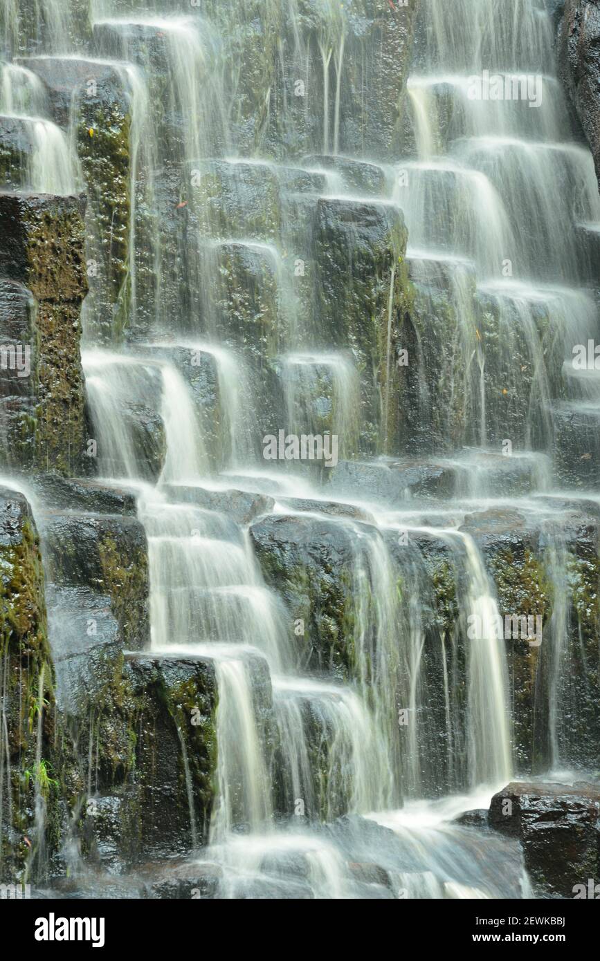 DIP Falls, Tarkine, Noroeste, Tasmania, Australia Foto de stock