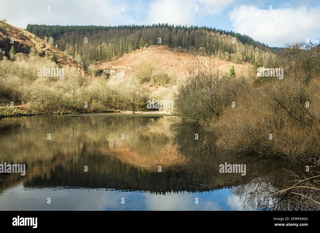 El estanque superior en el parque de campo Cwm Clydach fuera El valle de Rhondda Fawr en el sur de Gales Foto de stock