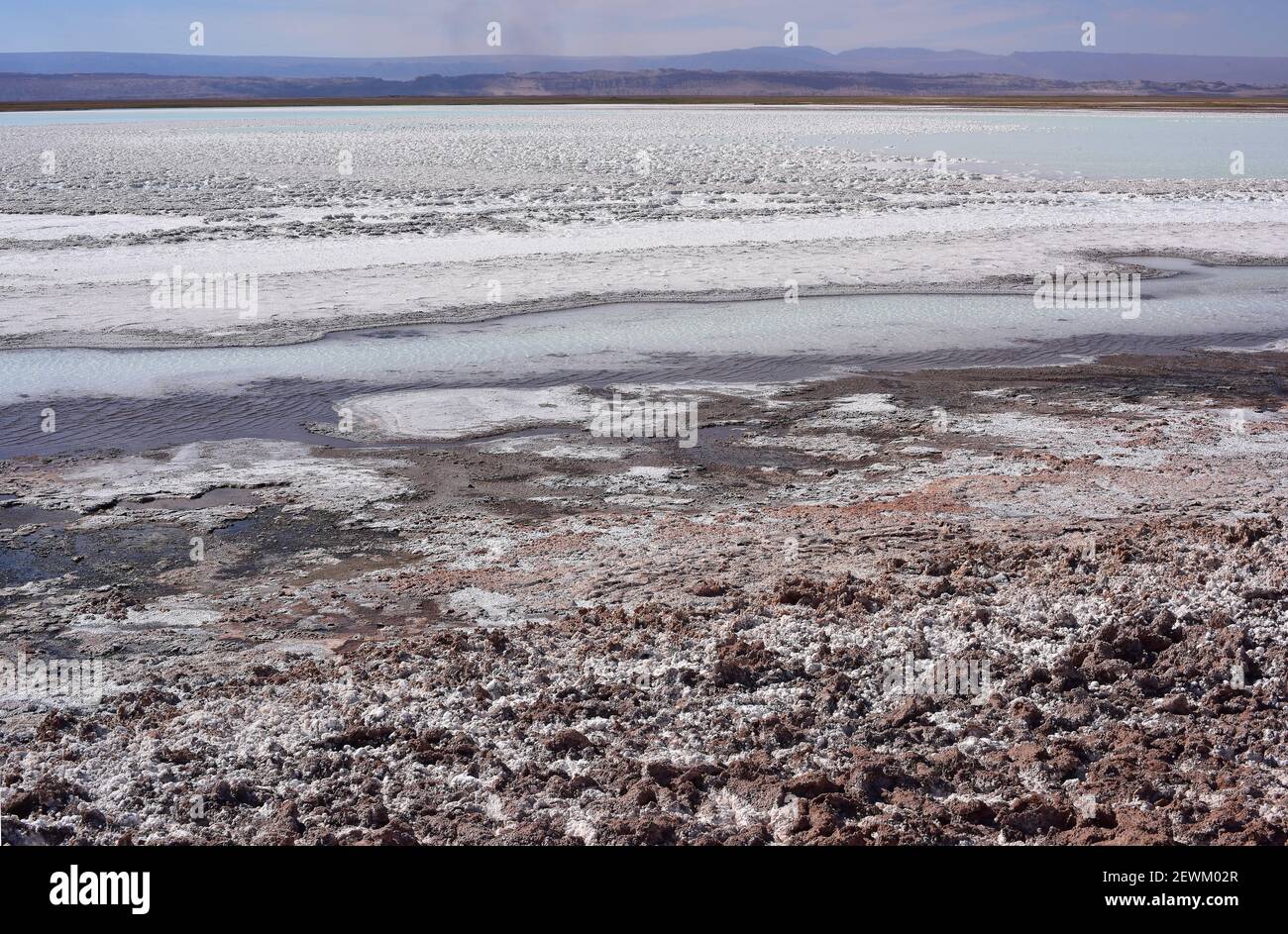 Laguna Tebenquiche. Salar de Atacama, Antofagasta, Chile. Foto de stock