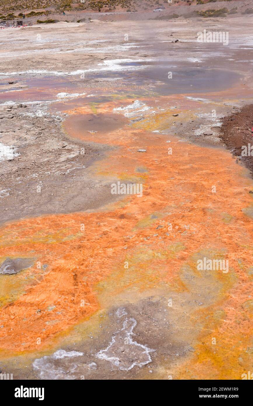 El Tatio Geyser Field. Microorganismos extremofilos (Archaea, bacterias y cianobacterias). San Pedro de Atacama, Antofagasta, Chile. Foto de stock