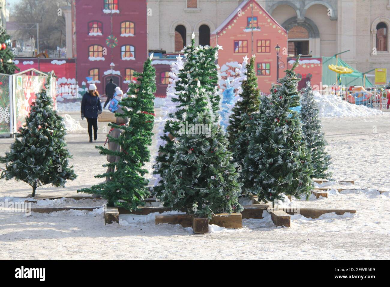 161228) -- VLADIVOSTOK, 28 de diciembre de 2016 (Xinhua) -- los árboles de  Navidad se ven