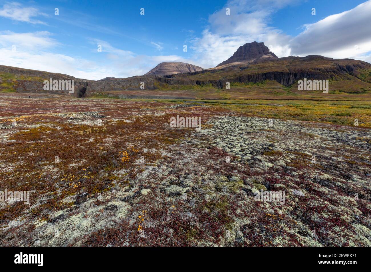 Tundra abierta y basalto columnar en Brededal, Isla Disko, Qeqertarsuaq, Bahía de Baffin, Groenlandia, Regiones polares Foto de stock