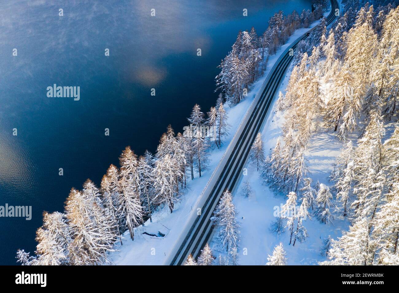 Camino vacío cruzando el bosque de invierno cubierto de nieve al lado del lago de Sils, vista aérea, Engadine, Graubunden Canton, Suiza, Europa Foto de stock