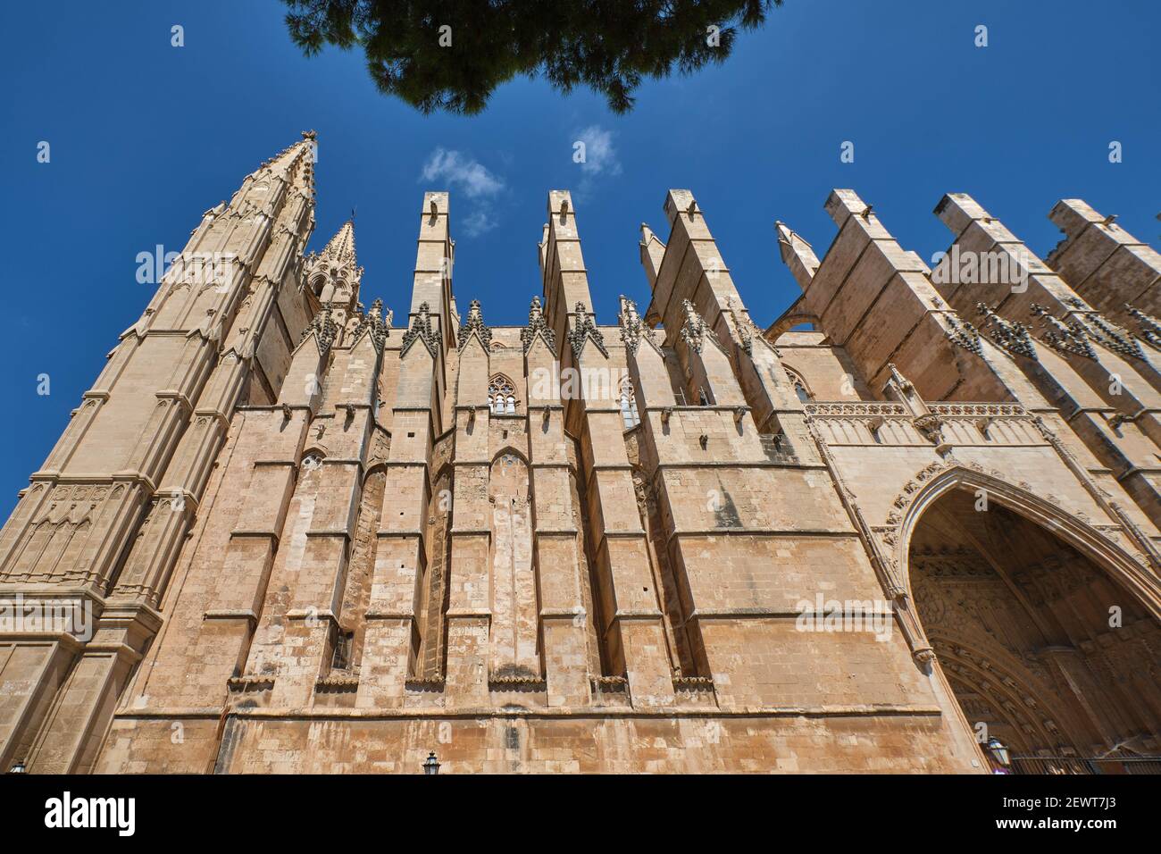 Catedral de Santa María de Palma, Mallorca Foto de stock
