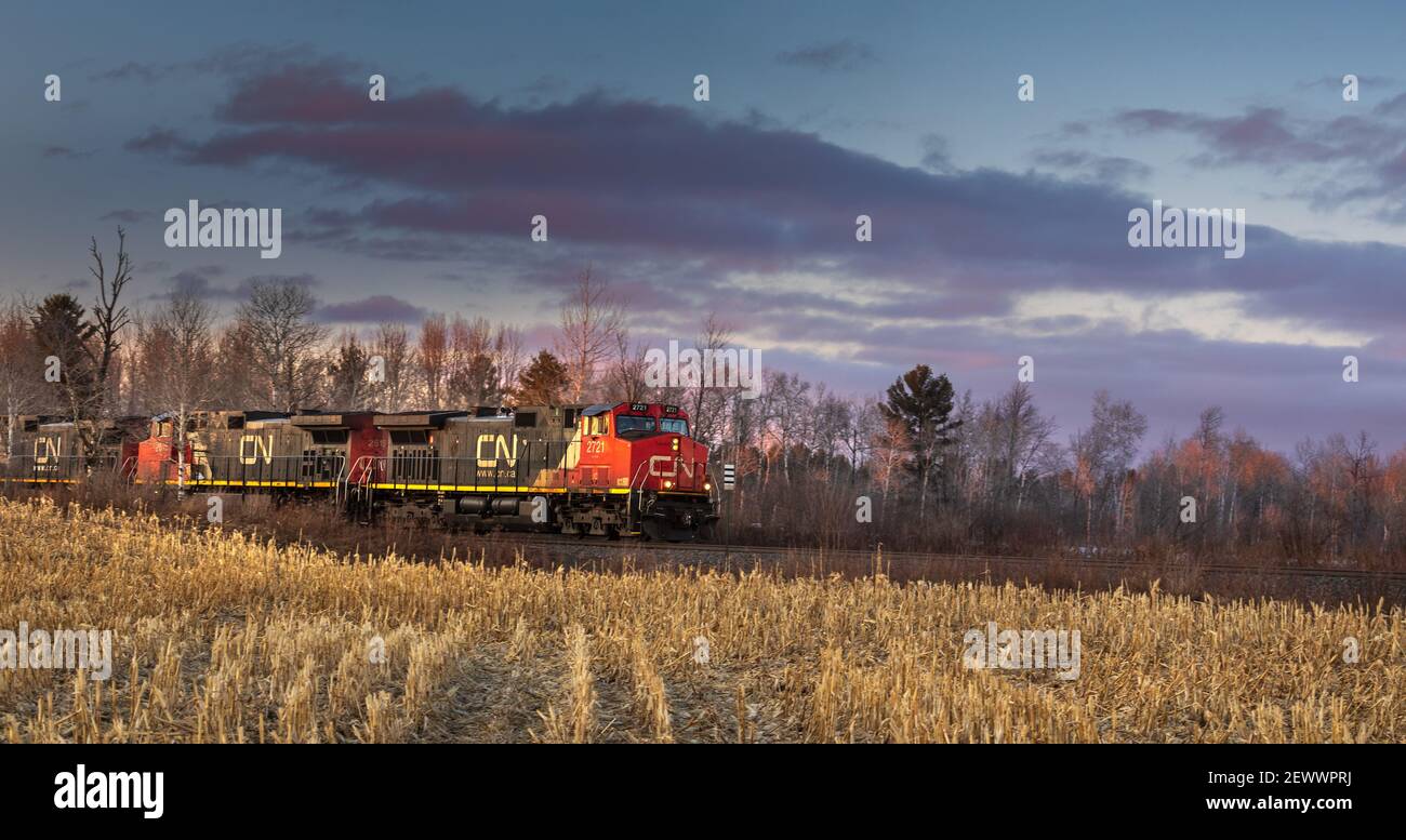 CN tren de carga pasando por una comunidad agrícola en Exeland, Wisconsin. Foto de stock