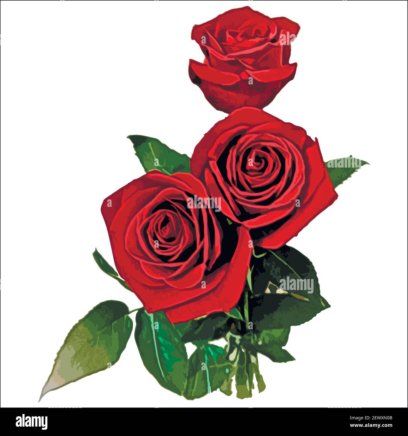 El regalo es un ramo de tres rosas rojas. Flores sobre un fondo cuadrado  blanco. Aislar Imagen Vector de stock - Alamy