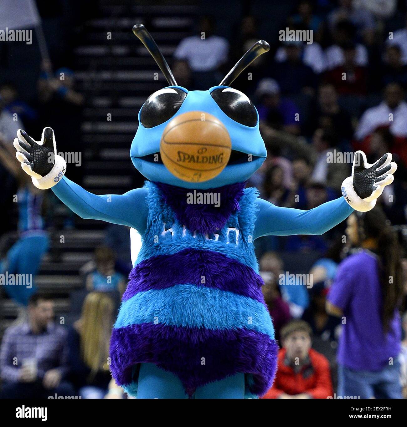 La mascota Hugo de Charlotte Hornets mantiene los ojos en la pelota  mientras rebota en el suelo antes de la primera mitad de la acción contra  los Atlanta Hawks en Time Warner