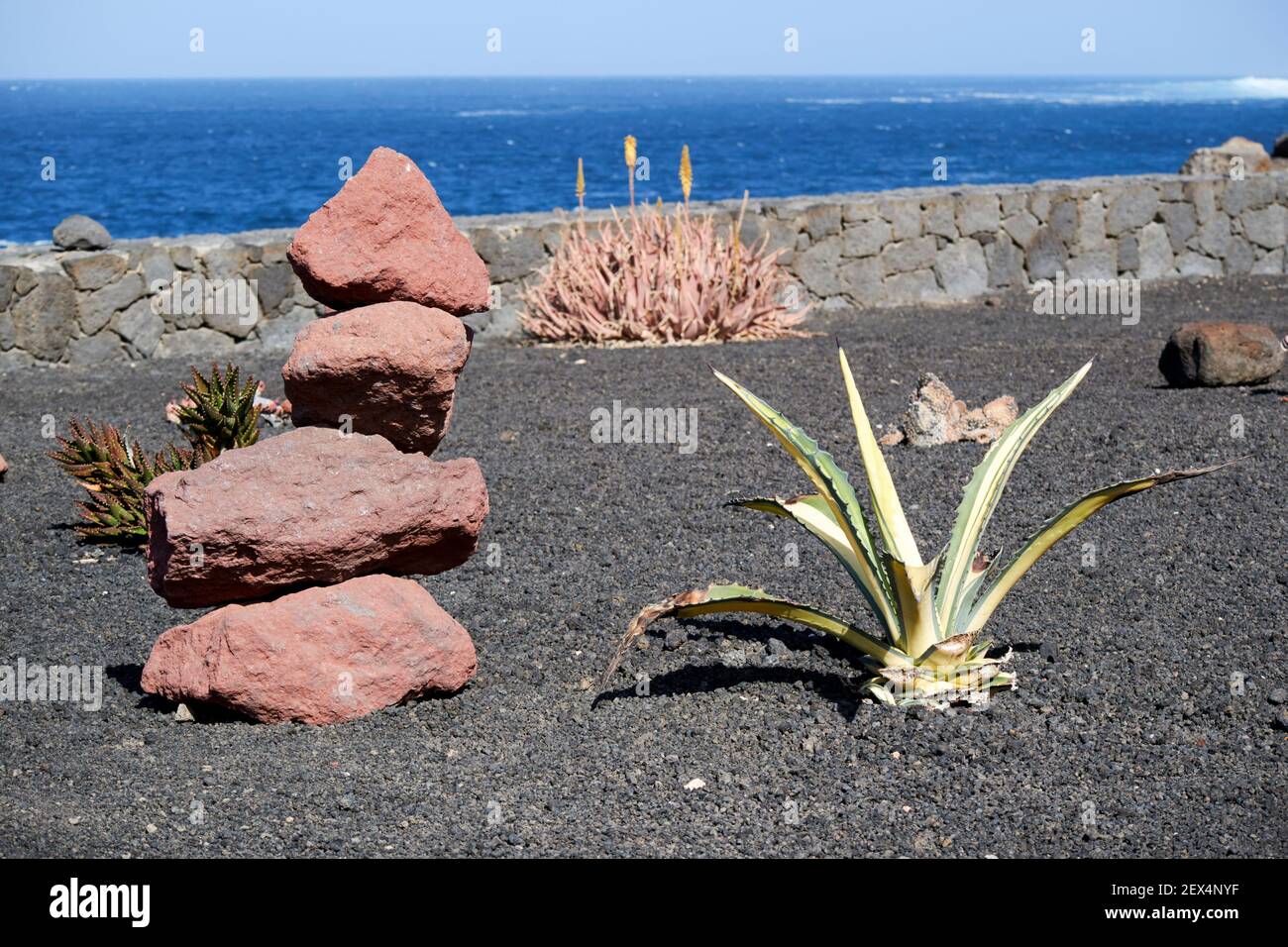 planta agave creciendo en un jardín de cactus en piedras volcánicas Con un montón de rocas en Lanzarote Islas Canarias España Foto de stock
