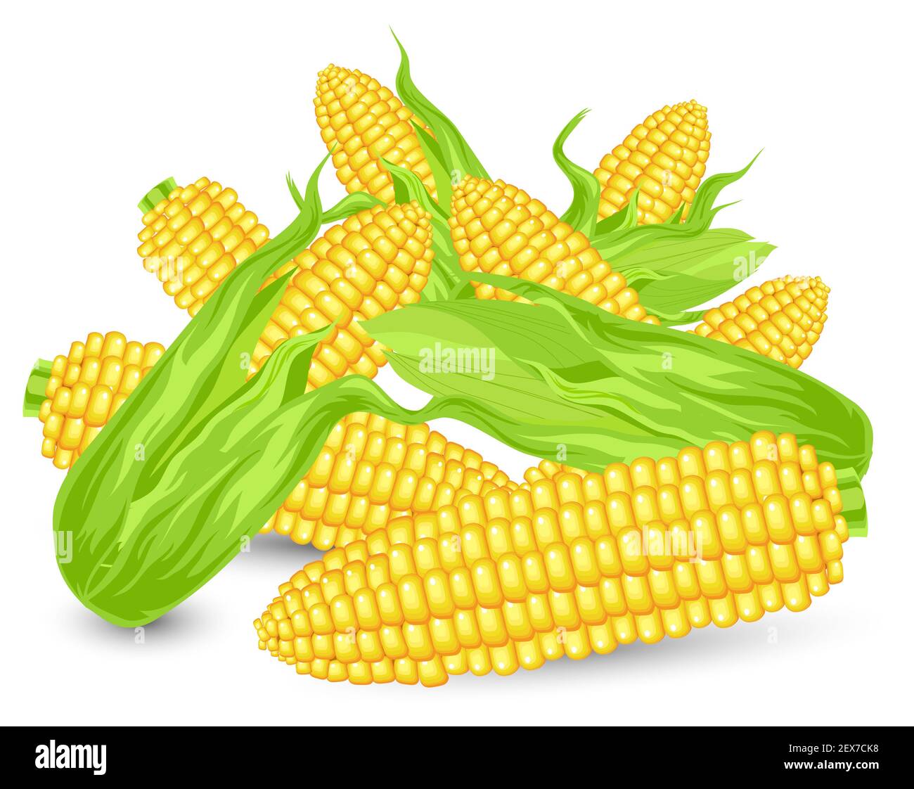 Orejas de la colina de maíz maduro Foto de stock
