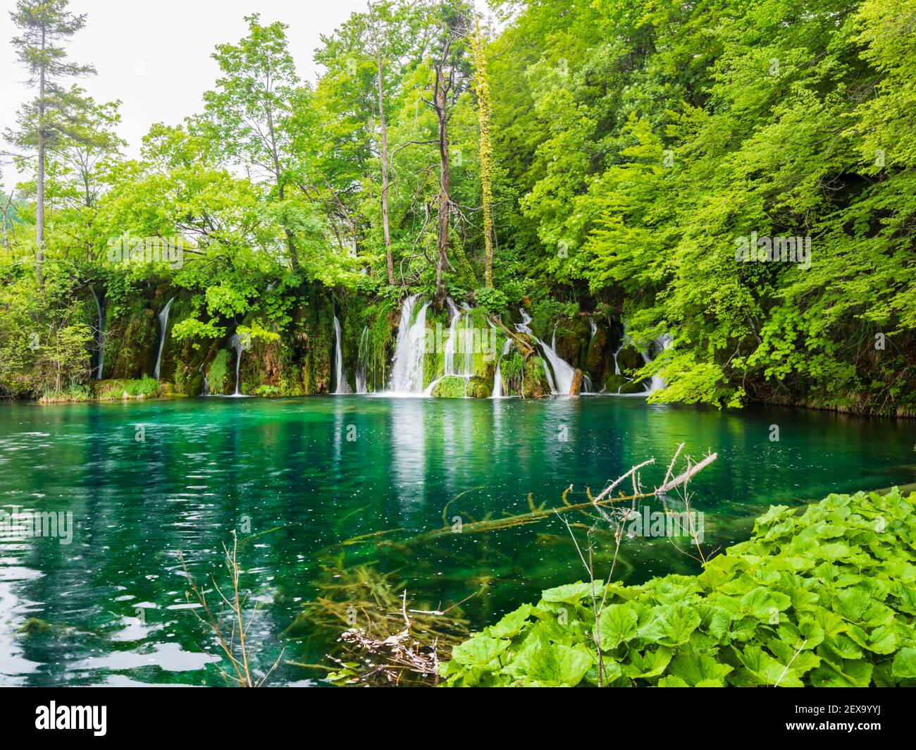 Parque nacional de los lagos de Plitvice Foto de stock