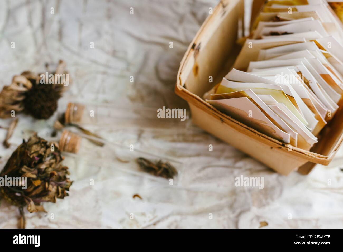 Ahorro de semillas de flores de Zinnia secas de varias maneras Foto de stock