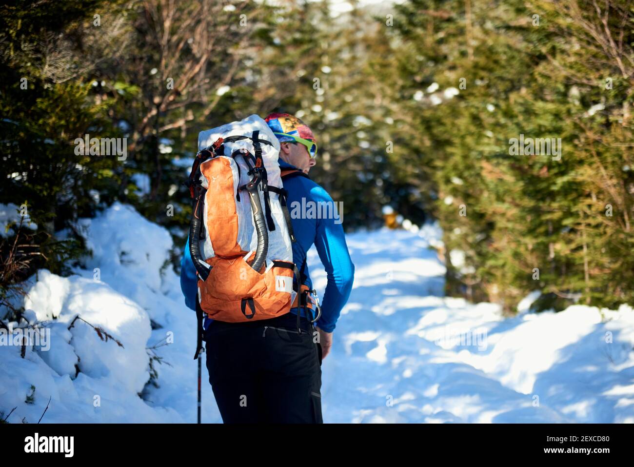 Escalada en hielo masculino senderismo a través de árboles perennes en New Hampshire Foto de stock