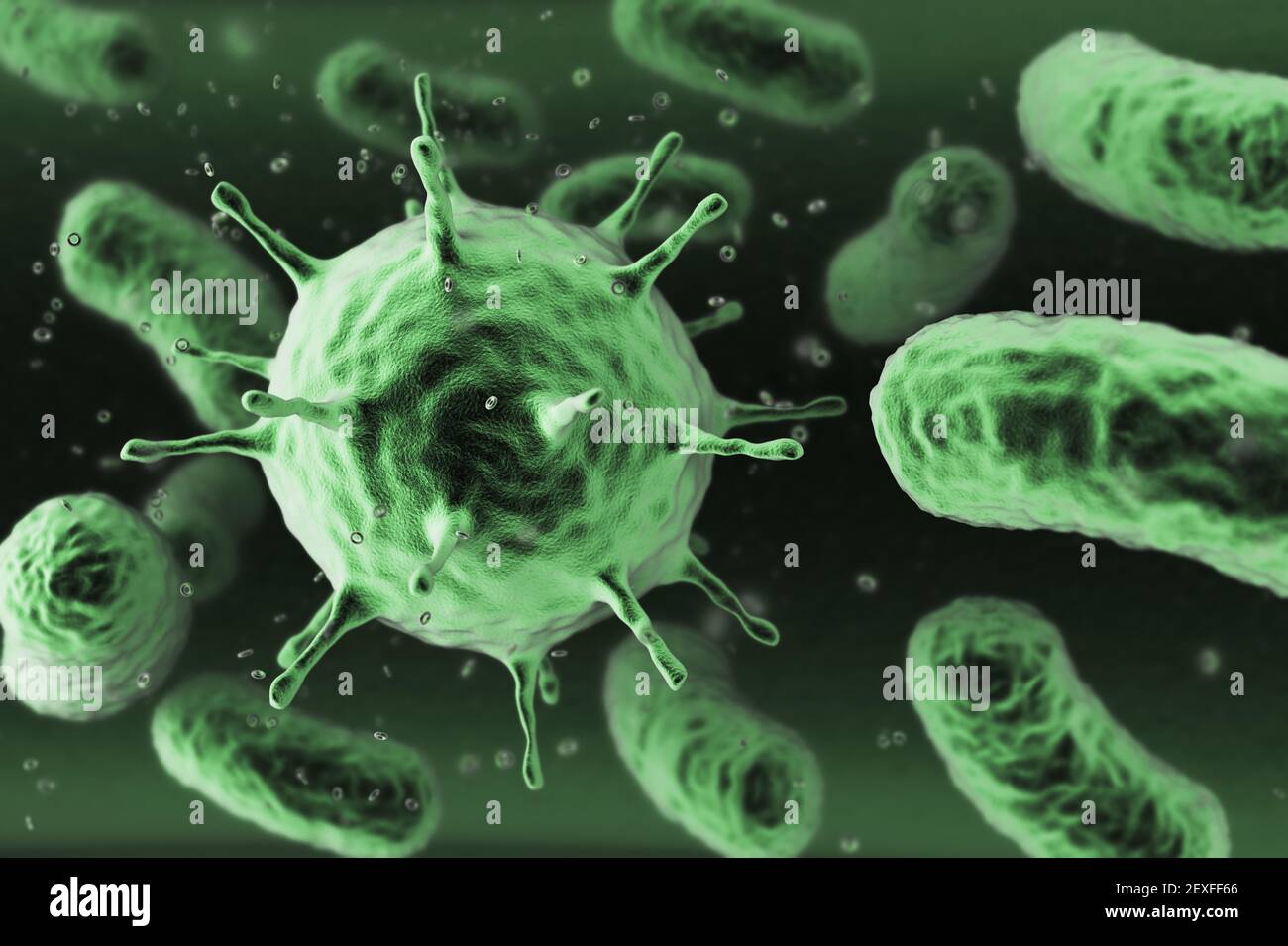 Las bacterias bajo microscopio Fotografía de stock - Alamy