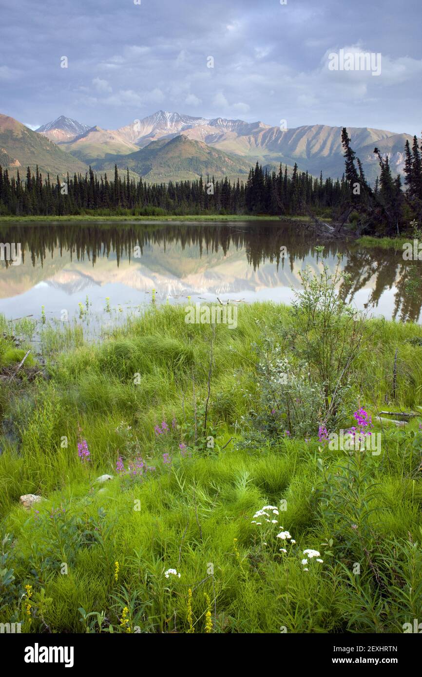 Alaska Wilderness Foto de stock