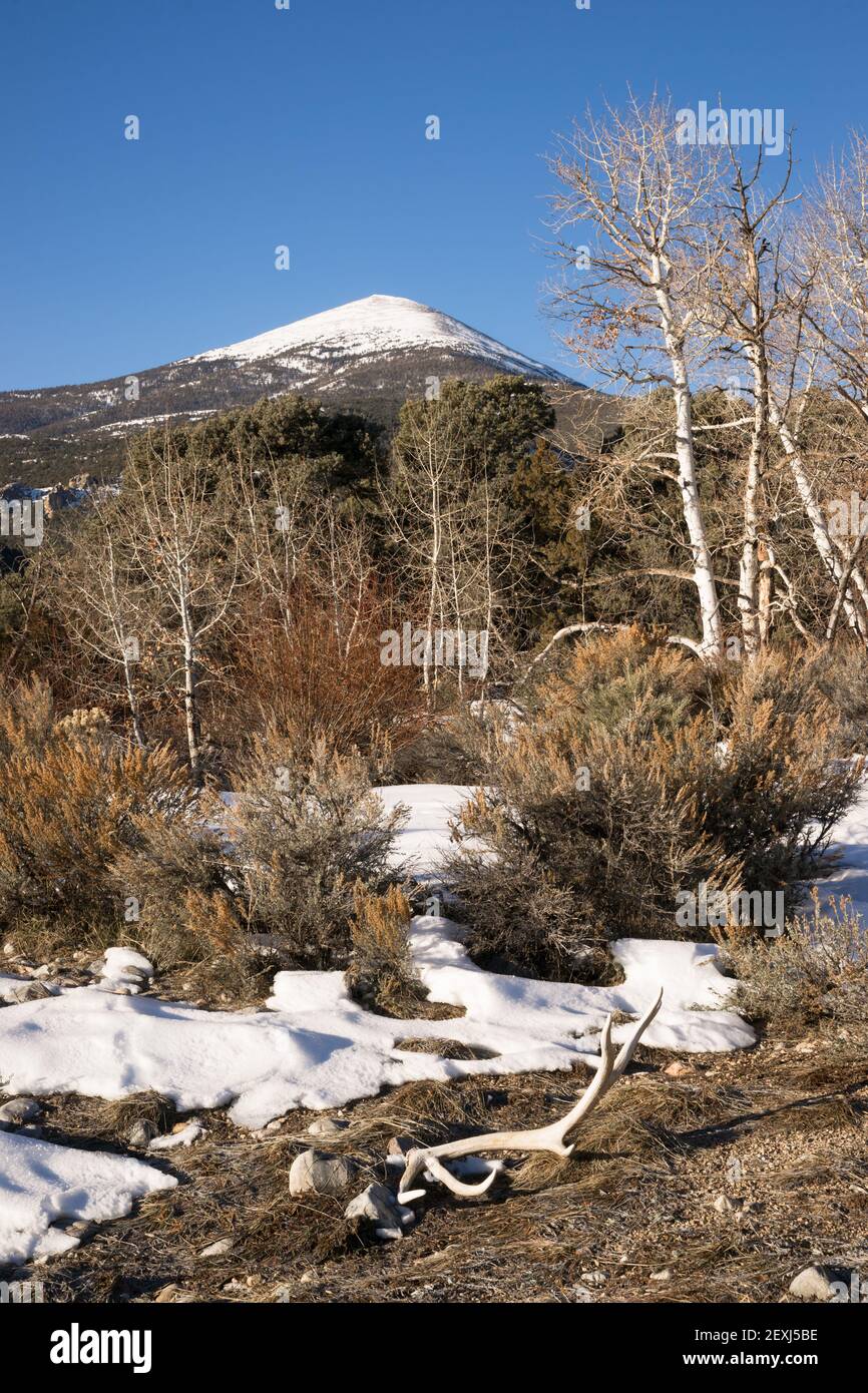 High Mountain Peak Great Basin Region Nevada paisaje Elk Antlers Foto de stock