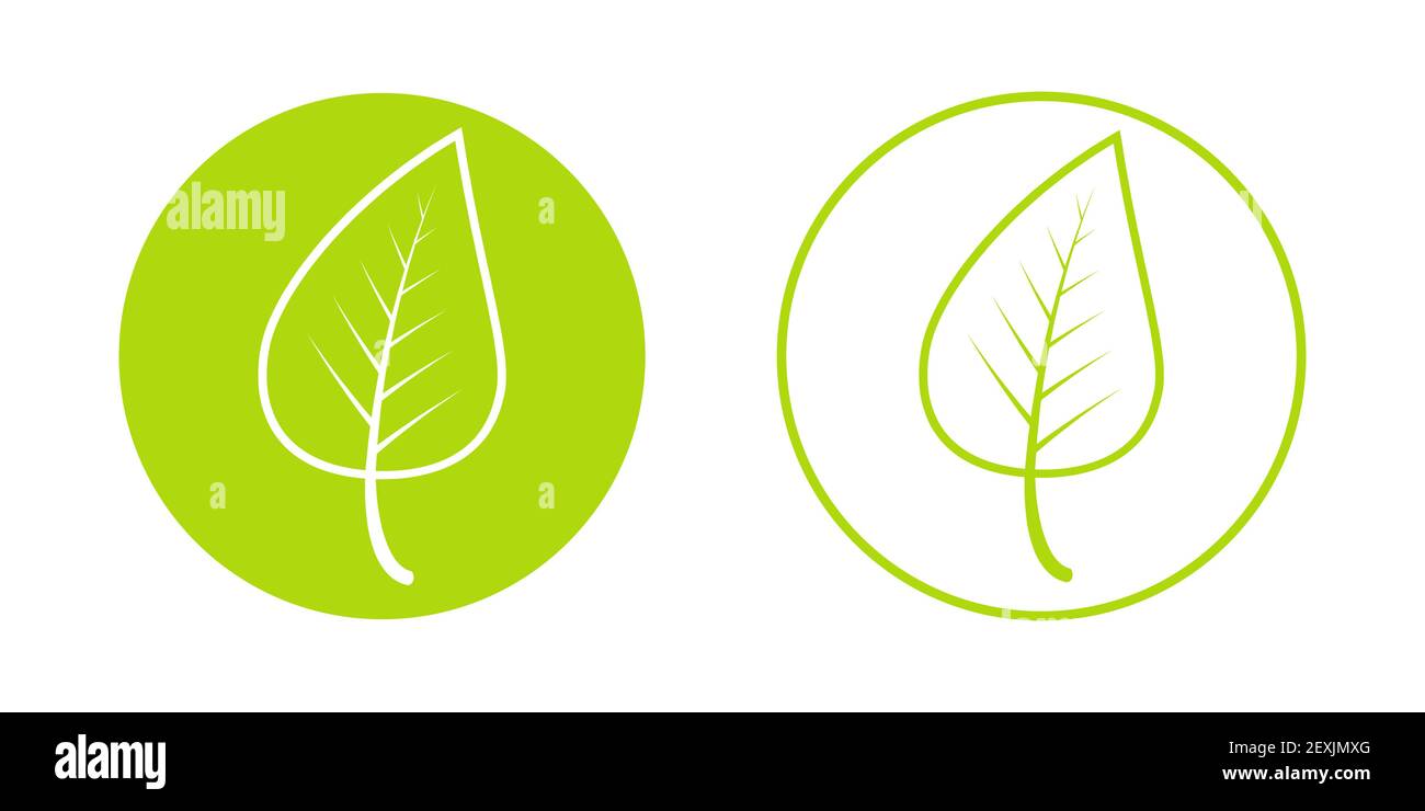 Primavera época del año icono, joven crecimiento verde hoja vector primavera signo logotipo, hoja redonda icono Ilustración del Vector