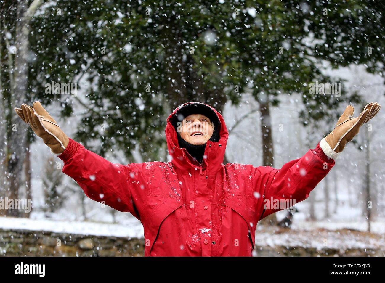 Loretta Cantrell, de 75 años, dice: "Me siento como un niño jugando de nuevo en la nieve", durante un paseo por la popular Stump Road, martes, 11 de febrero de 2014, en Helen, GA. (Foto de Curtis Compton/Atlanta Journal-Constitution/MCT/Sipa USA) Foto de stock