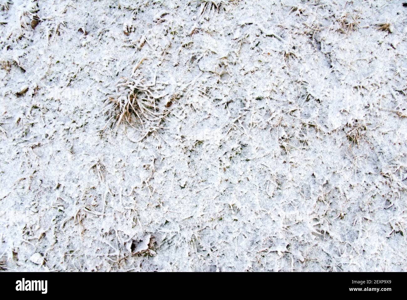 Caído nieve fresca Foto de stock