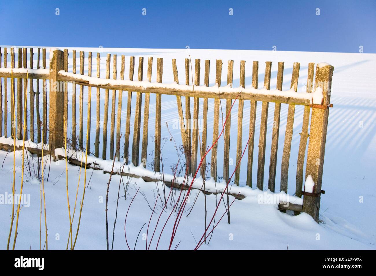 Guía de invierno Foto de stock