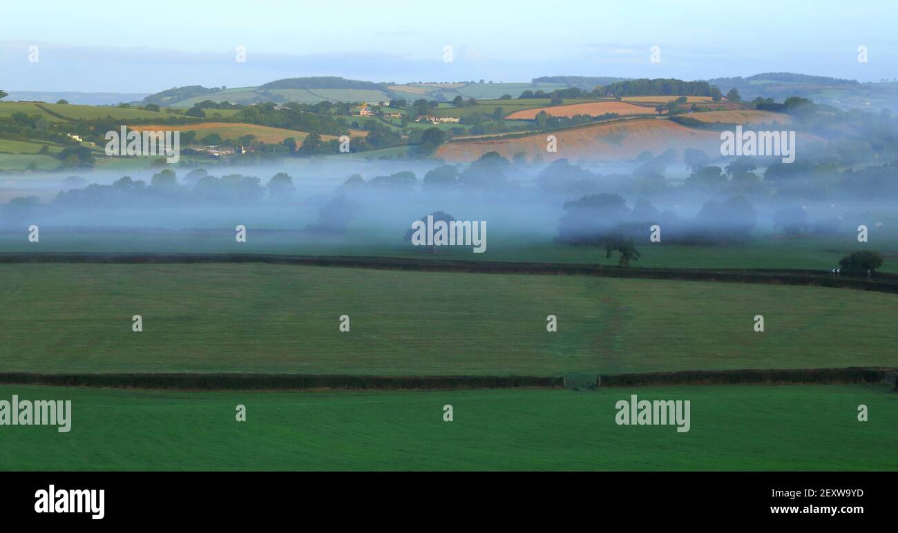 Niebla en el Valle de Ax, East Devon AONB Foto de stock