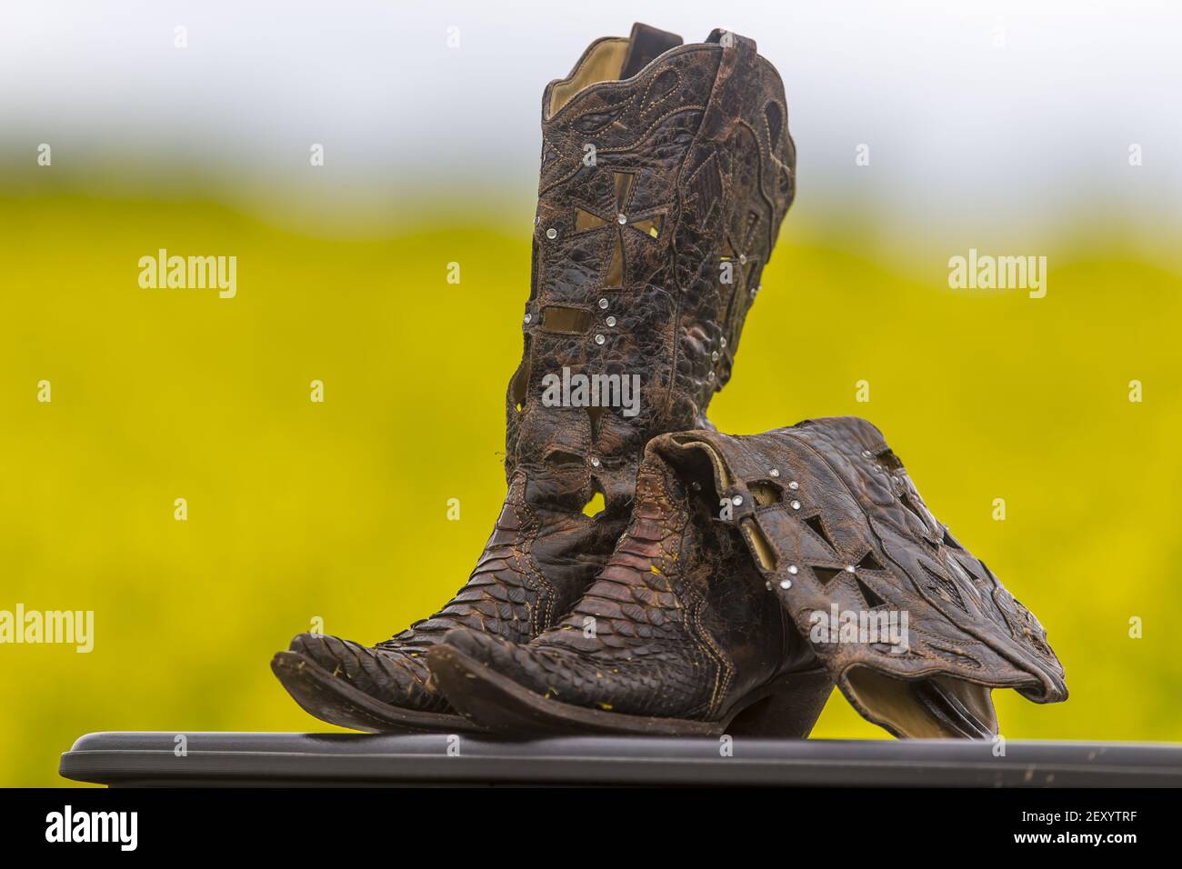 Botas de campo fotograf as e im genes de alta resoluci n Alamy