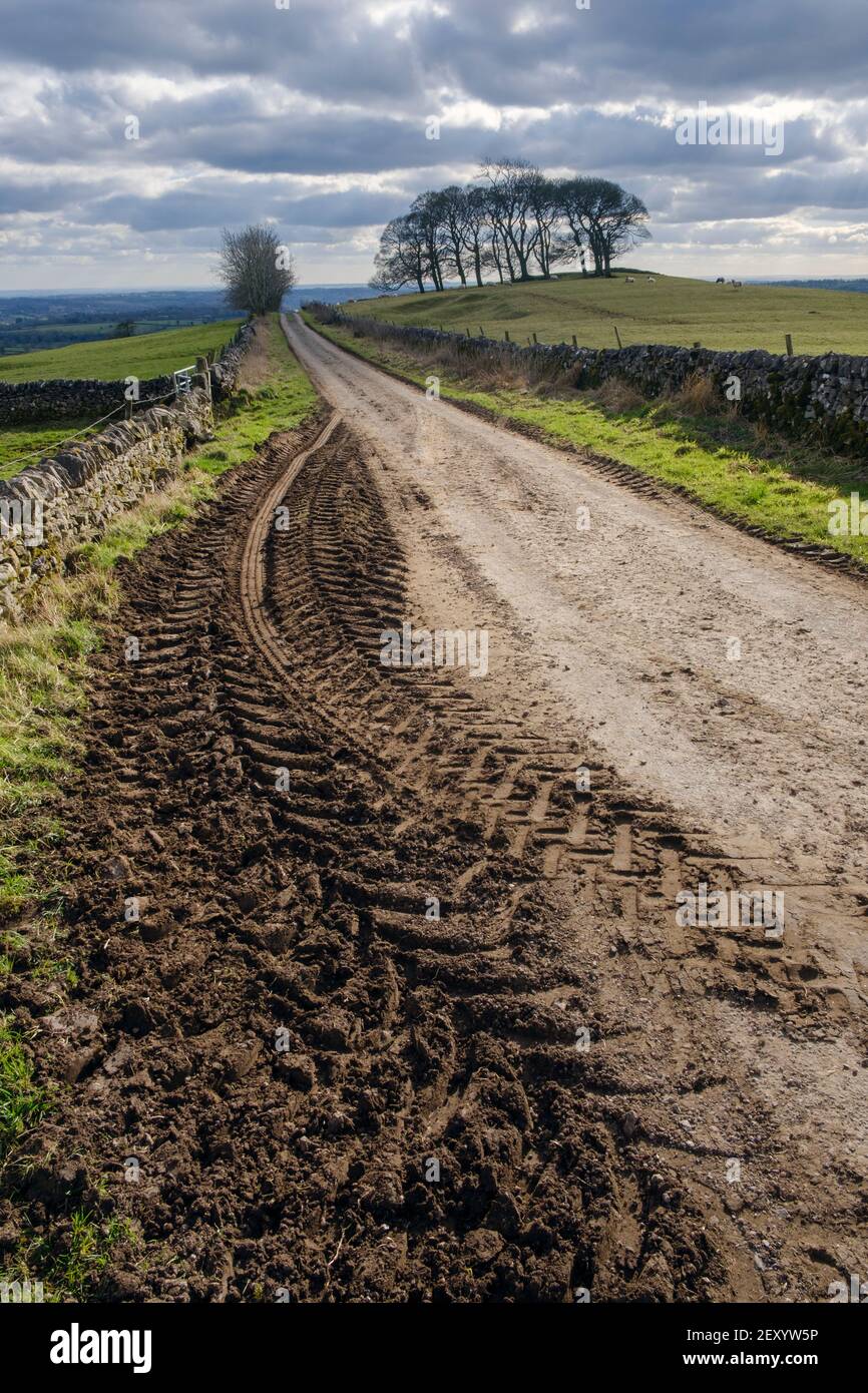 Pistas de tractores fangosos, Gag Lane, Thorpe, Parque Nacional del Distrito de los Picos, Derbyshire Foto de stock