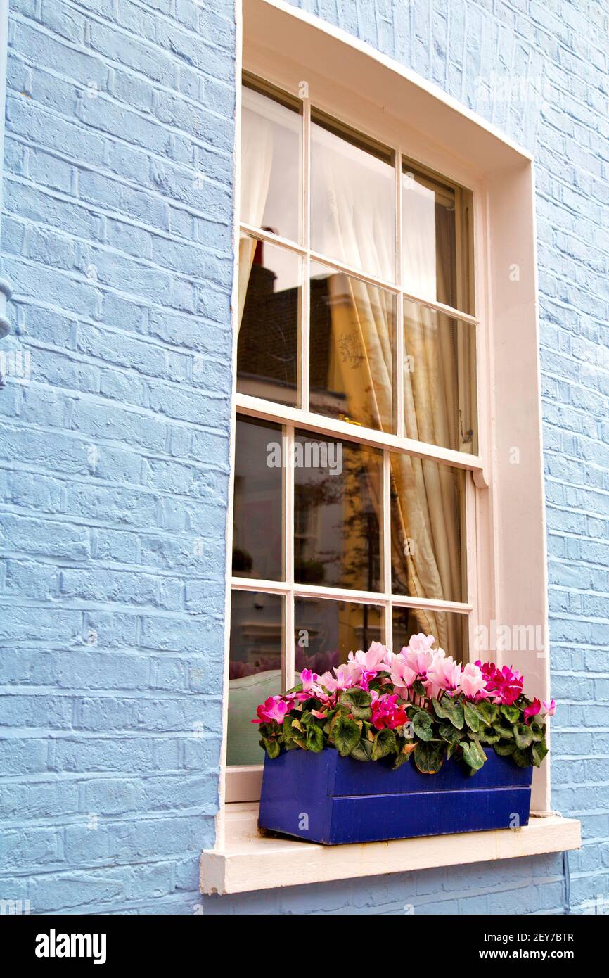 Notting zona de la colina en londres inglaterra flores Fotografía de stock  - Alamy