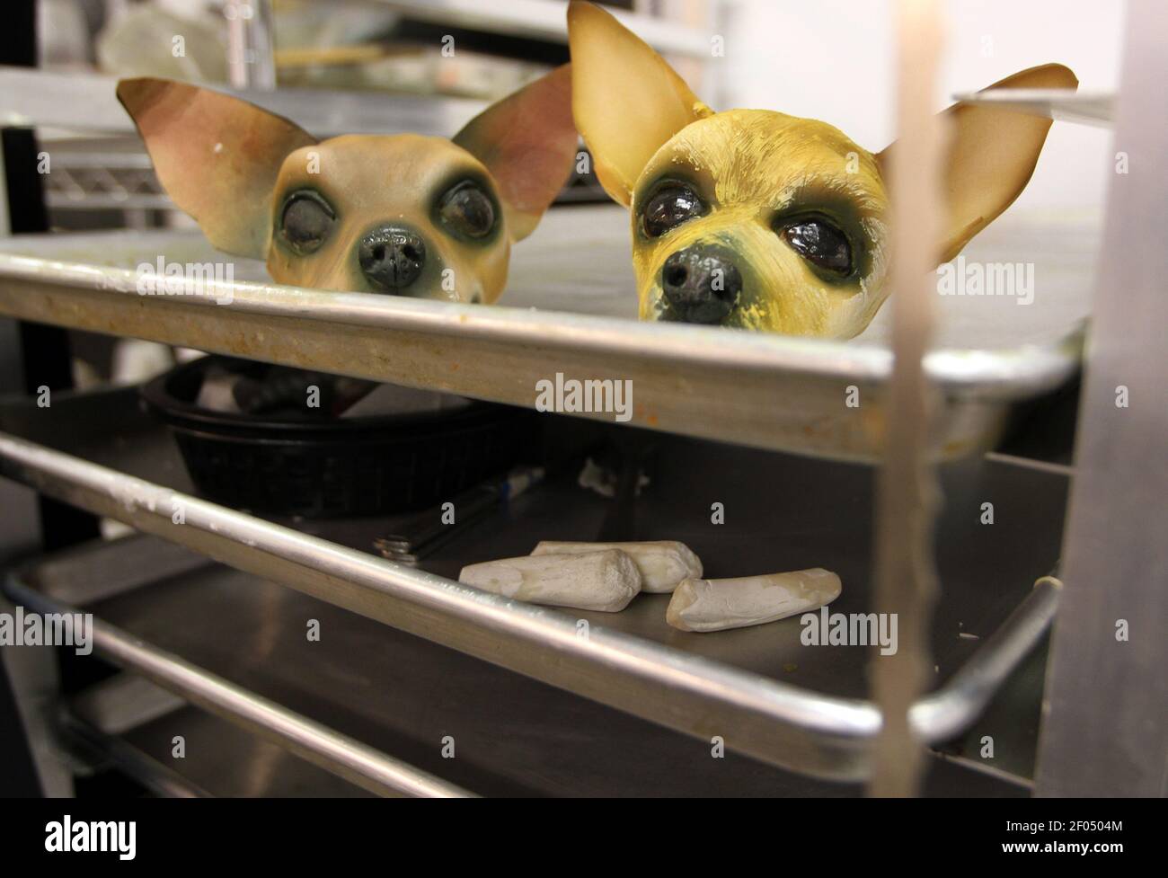 Dos cabezas de pastel de Chihuahua se sientan en una hoja de galletas