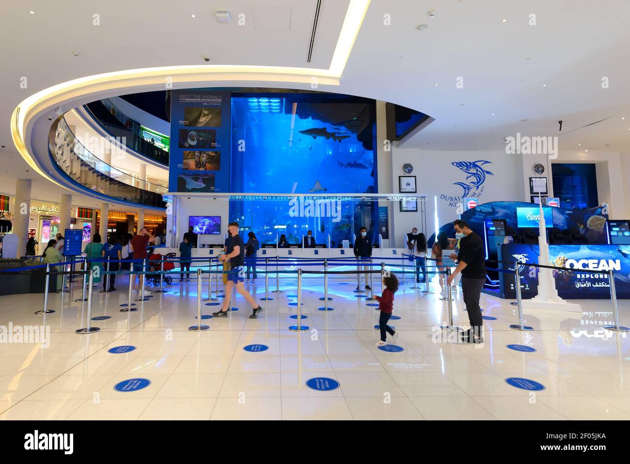 Dubai Aquarium y línea de entrada del Zoo Submarino en el Dubai Mall. Marcas de terreno para el distanciamiento social de la cola para los turistas que viajan durante la pandemia. Foto de stock
