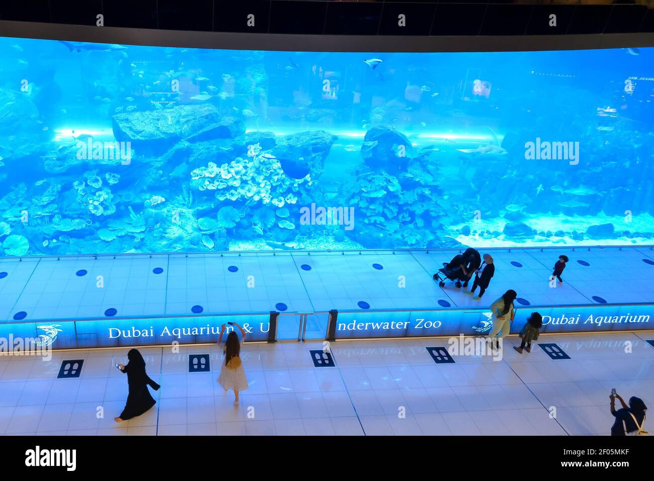 Acuario de Dubai y Zoo submarino en el Dubai Mall. Marcas de terreno para que los turistas practiquen el desplazamiento de distanciamiento social durante la pandemia del Coronavirus. Foto de stock