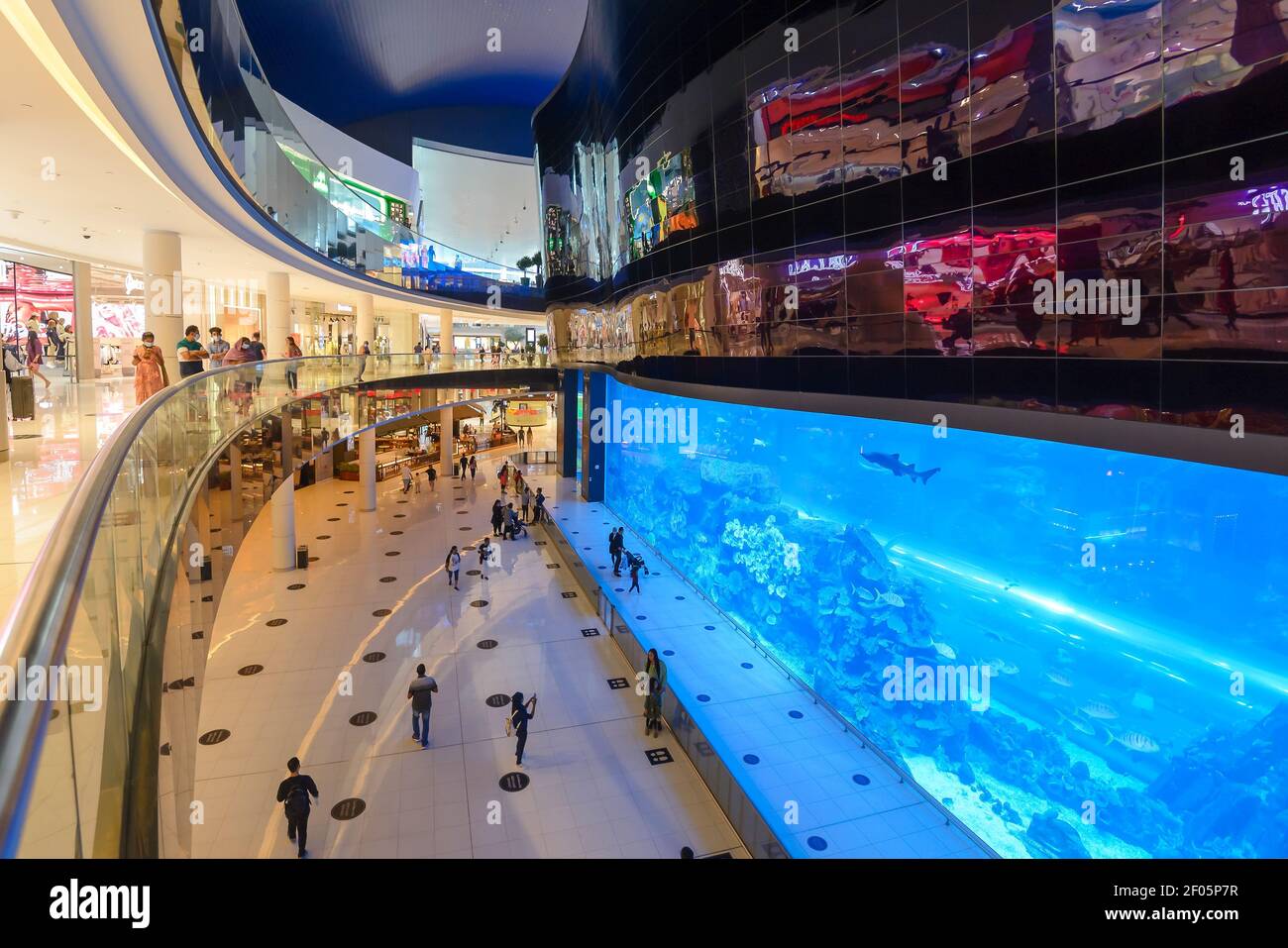 Acuario de Dubai y Zoo submarino dentro del Dubai Mall, el centro comercial más grande, situado en Dubai, Emiratos Árabes Unidos. Foto de stock