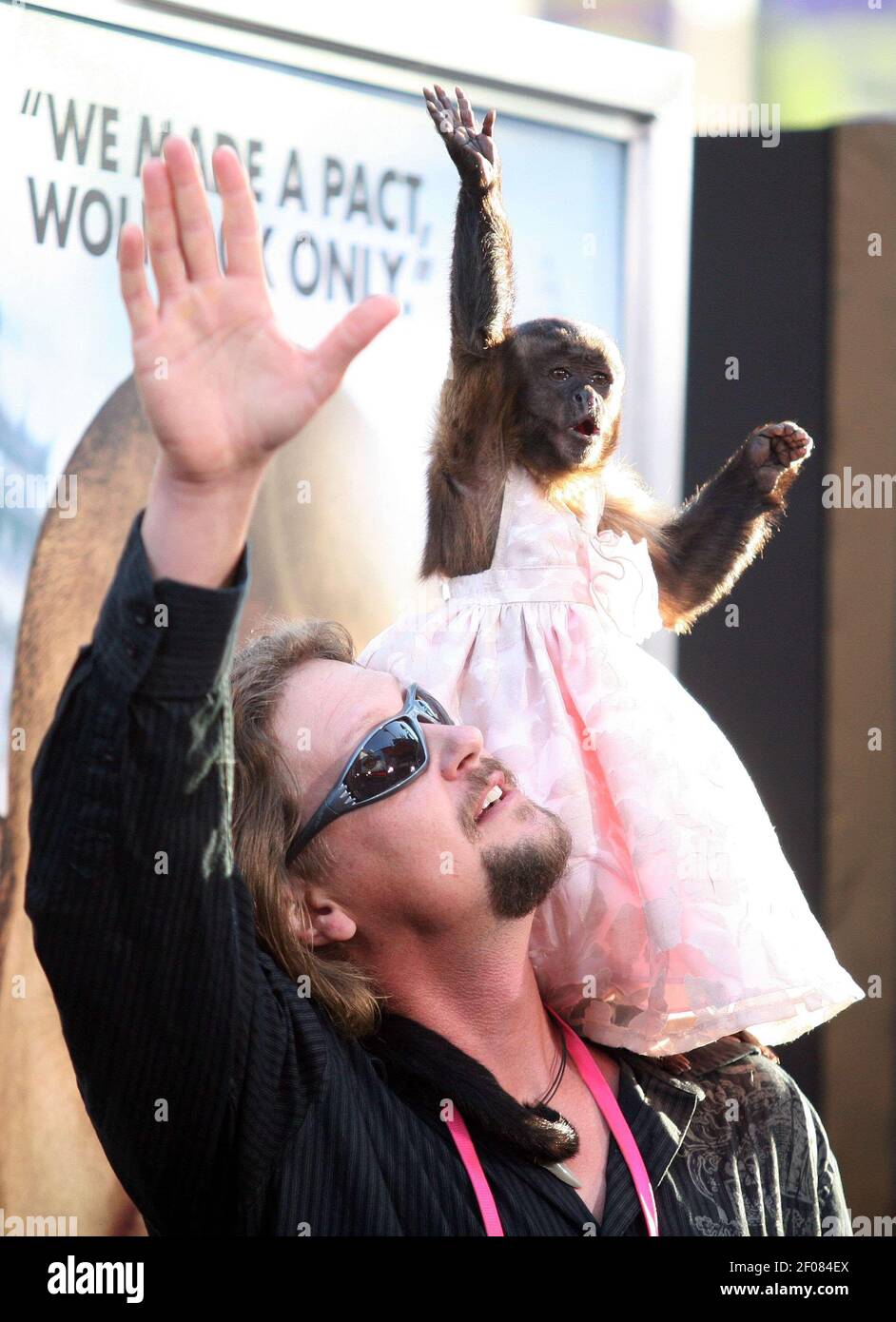19 de mayo de 2011 - Hollywood, CA - el mono de la Hangover llega al  estreno de 'Hangover 2' en Hollywood, California. Crédito de la foto:  Krista Kennel/Sipa Press/hangovertwopremkk.009/1105200641 Fotografía de