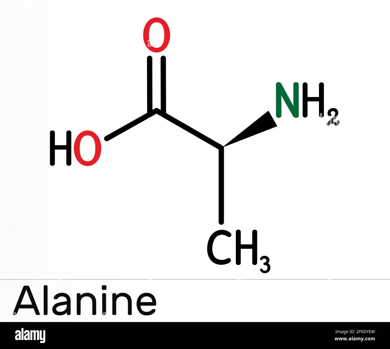 Alanine amino acid molecule fotografías e imágenes de alta resolución Página 2 Alamy