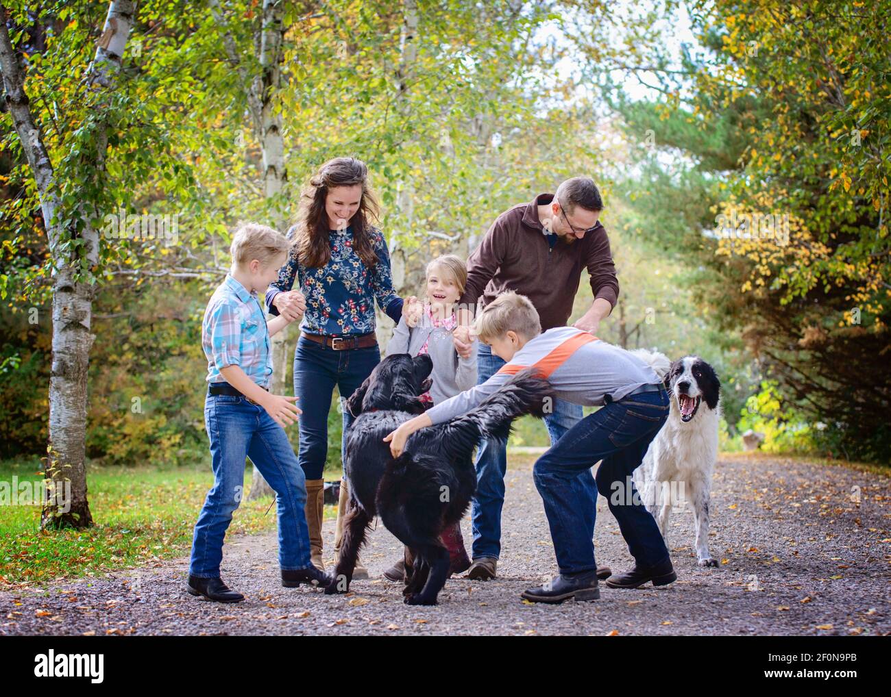 Feliz familia de 5 personas jugando con dos perros en una carretera de  campo Fotografía de stock - Alamy