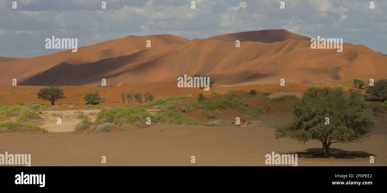 Sossusvlei desierto paisaje en Namibia África dunas de arena roja con cielo azul y nubes blancas espacio de formato horizontal para el tipo regla de espacio abierto de tercios Foto de stock