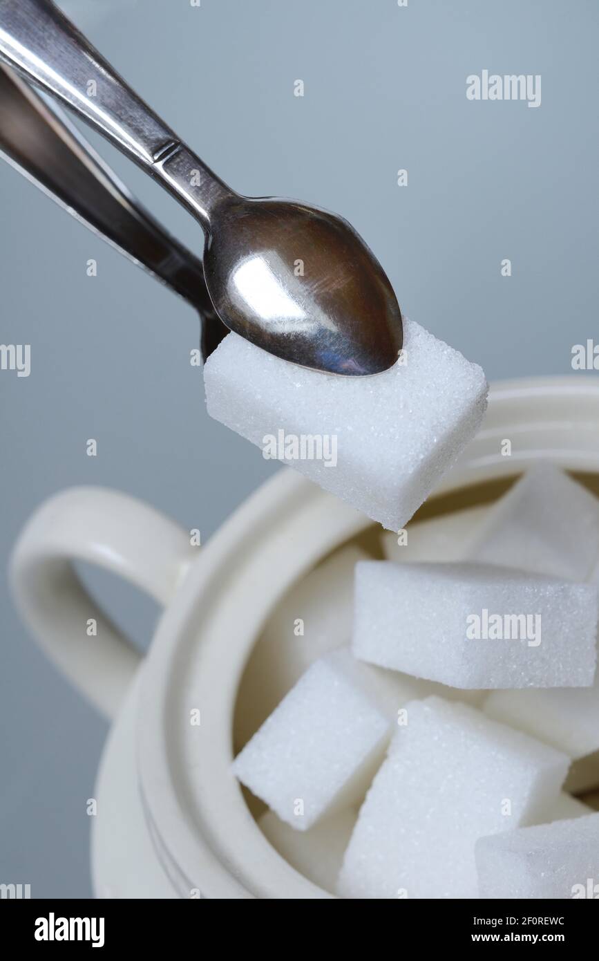 Tenazas de azúcar en cubos de azúcar, Alemania Foto de stock