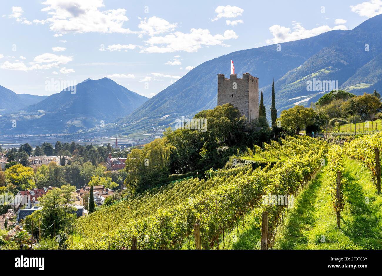 Antiguo Castillo de Ortenstein, Torre de polvo, viñedos, Merano, Vinschgau, Tirol del Sur, Italia Foto de stock