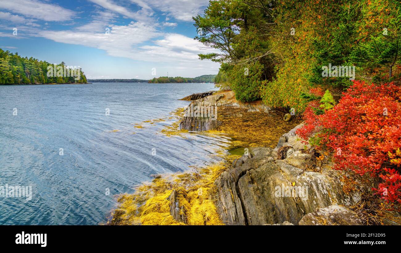 Vista escénica de la cala desde la isla de Orr, Maine en otoño Foto de stock