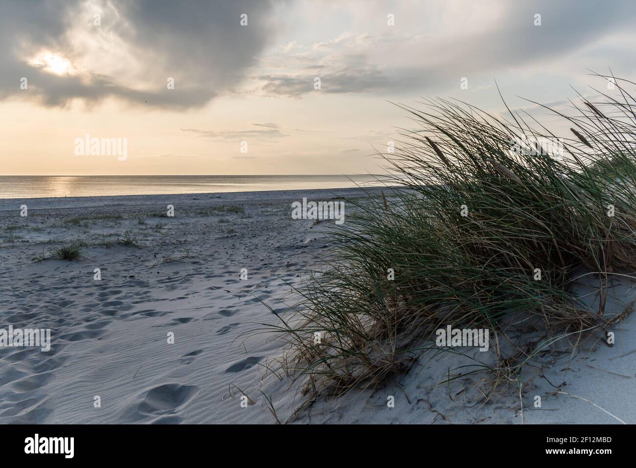 Dunas de arena de la playa de Blavand en Dinamarca con hierba seca Foto de stock