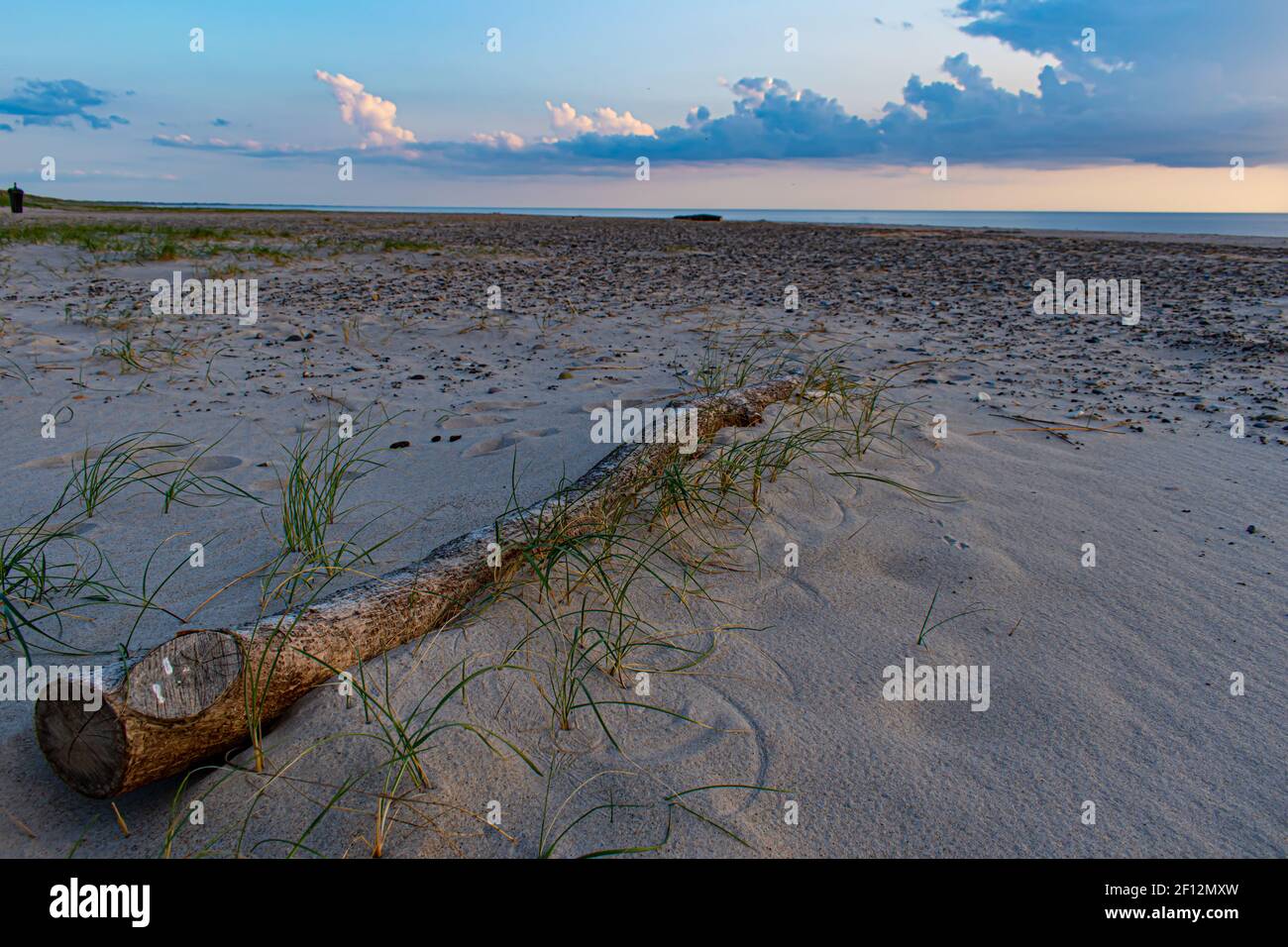Antiguo registro en las dunas de arena de la playa de Blavand en Dinamarca Foto de stock