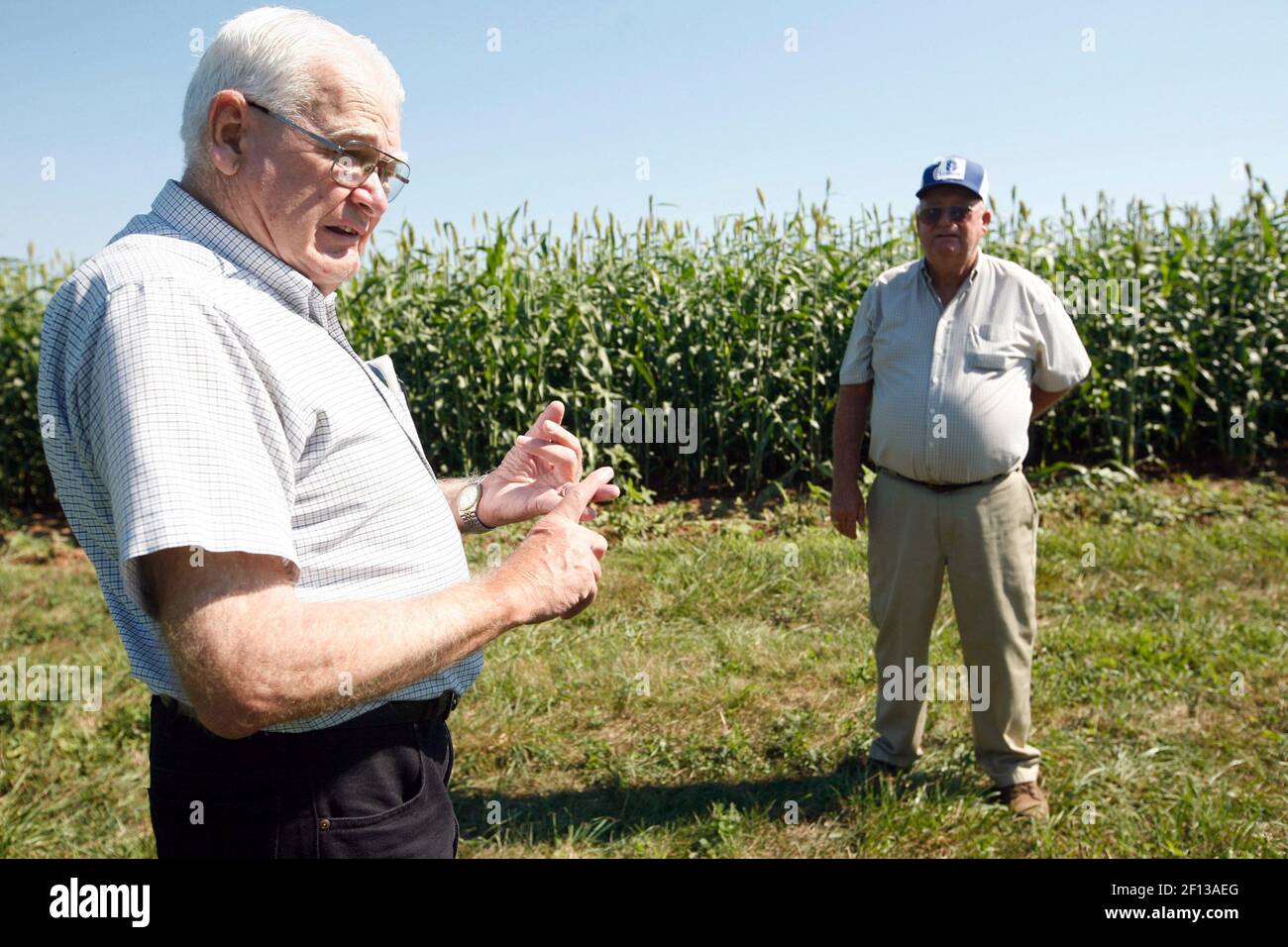 Morris Bitzer, a la izquierda de la Universidad de Kentucky, y Jason Webb, gerente de la granja discuten sorgo cerca de un campo de él en la granja de Lucy Breathitt en Midway, Kentucky, jueves, 7 de agosto de 2008. (Foto de Pablo Alcala/Lexington Herald-Leader/MCT/Sipa USA) Foto de stock