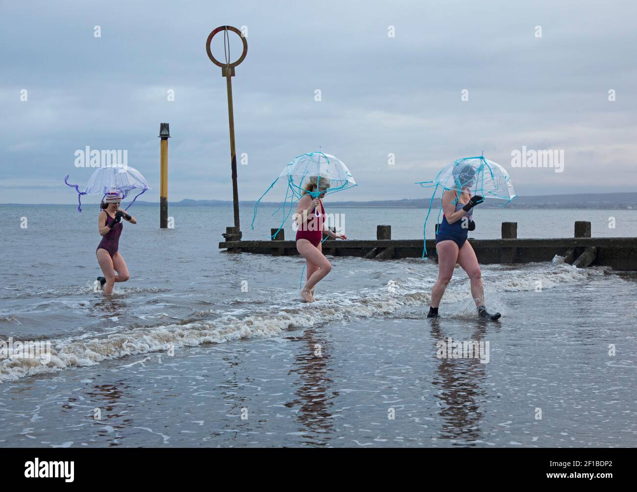Día Internacional de la Mujer (IWD) - 8th de marzo de 2021.Portobello, Edimburgo, Escocia, Reino Unido. Pequeños grupos de mujeres tomaron un baño para marcar el IWD, diferente de 2020 cuando más de 300 mujeres llegaron a la costa. Foto: Damas de la base Multi-Cultural de la Familia, se han vinculado con el evento de recaudación de fondos #IWDSWIM2021 Wild Swimming Stories para recaudar fondos para las mujeres afectadas por la violencia basada en el Género y marcan la ocasión con brollies Jellyfish. Foto de stock