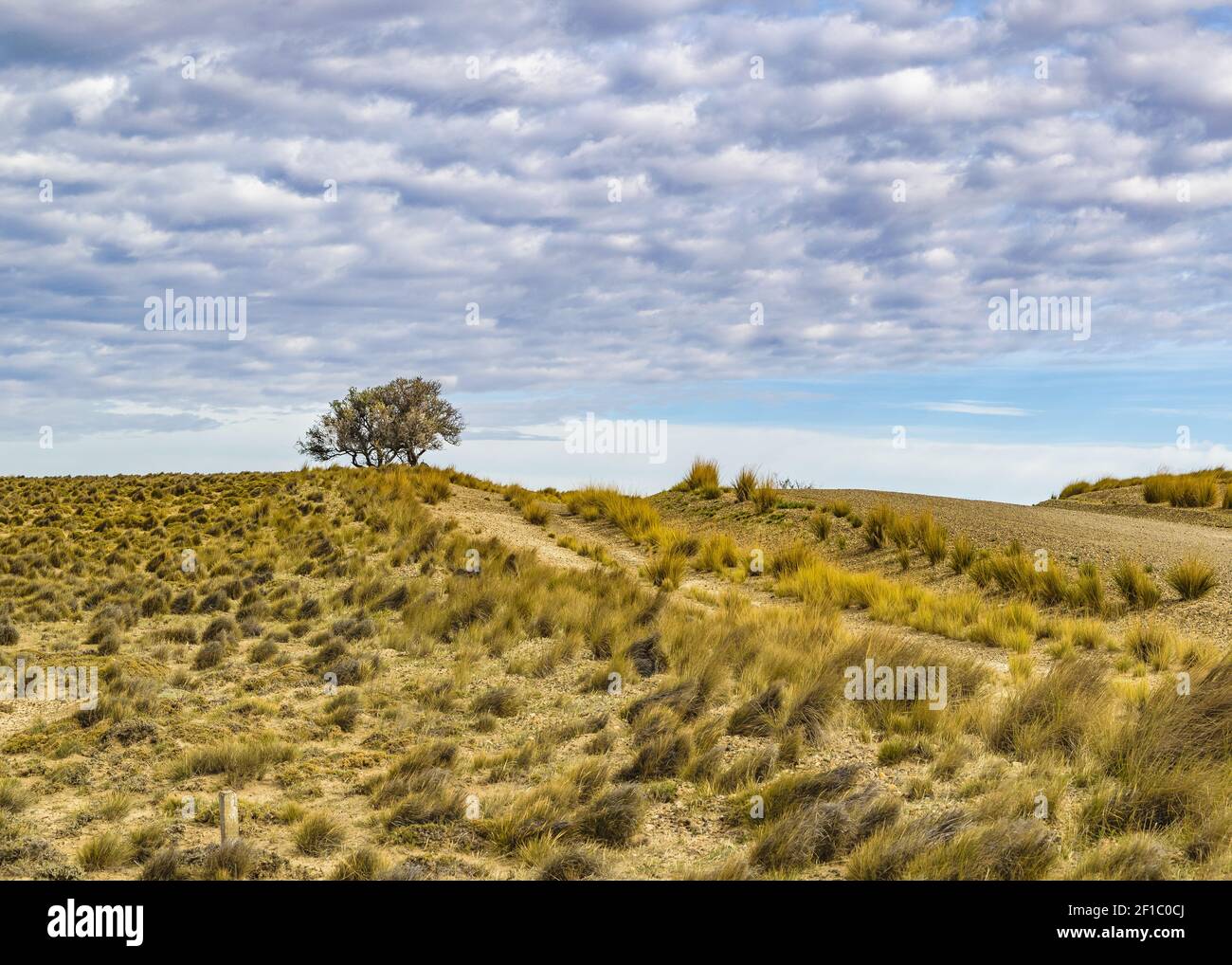 Paisaje escenario patagónico en la provincia de Santa Cruz Foto de stock